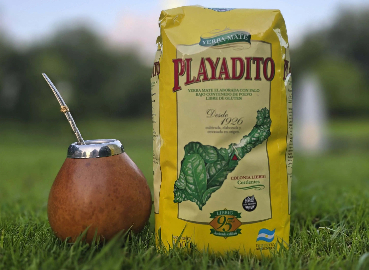 MateVibes website voor Yerba Mate banner hoofdpagina